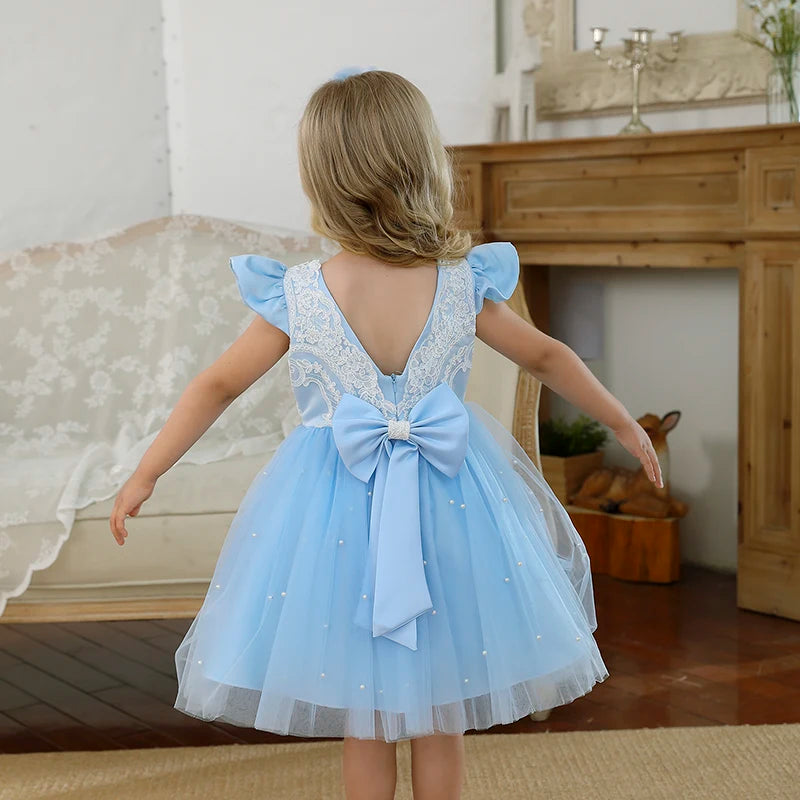 Baby Girl Lace Princess Dress