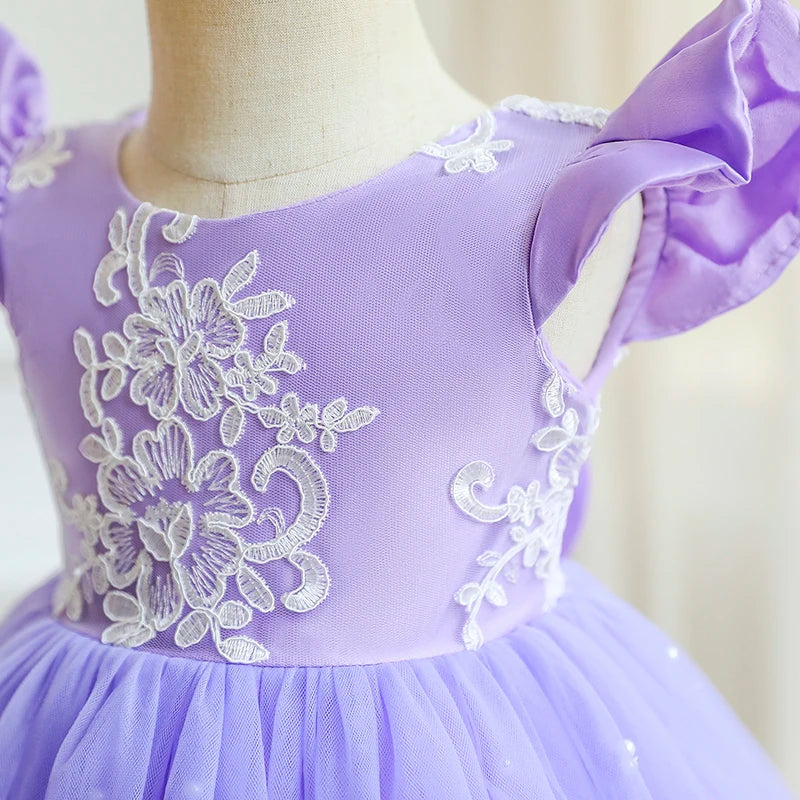Baby Girl Lace Princess Dress