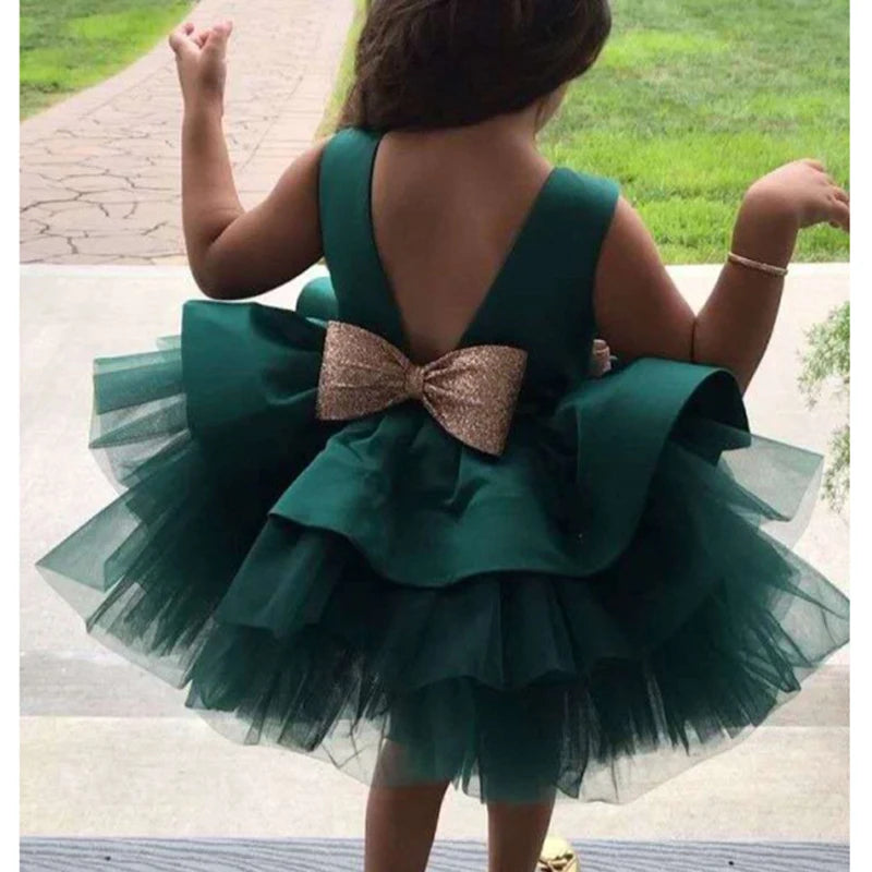 Baby Girl Lace Princess Dress