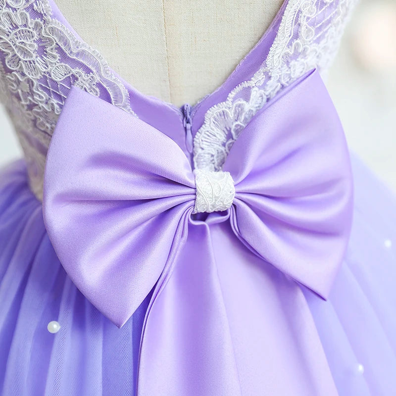Baby Girl Lace Princess Dress