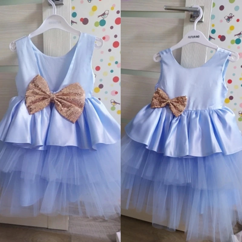 Baby Girl Lace Princess Dress
