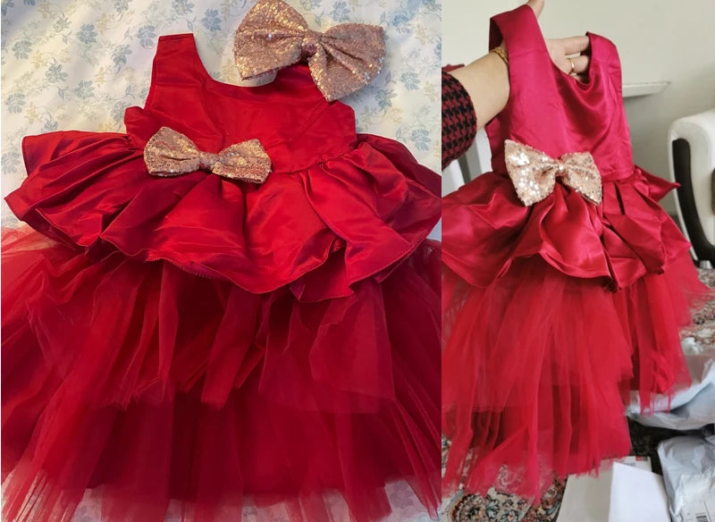 Baby Girl Lace Princess Dress