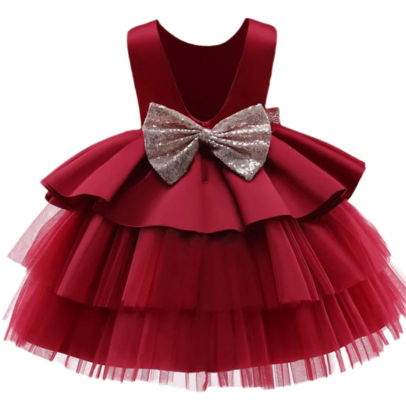 Baby Girl Lace Princess Dress