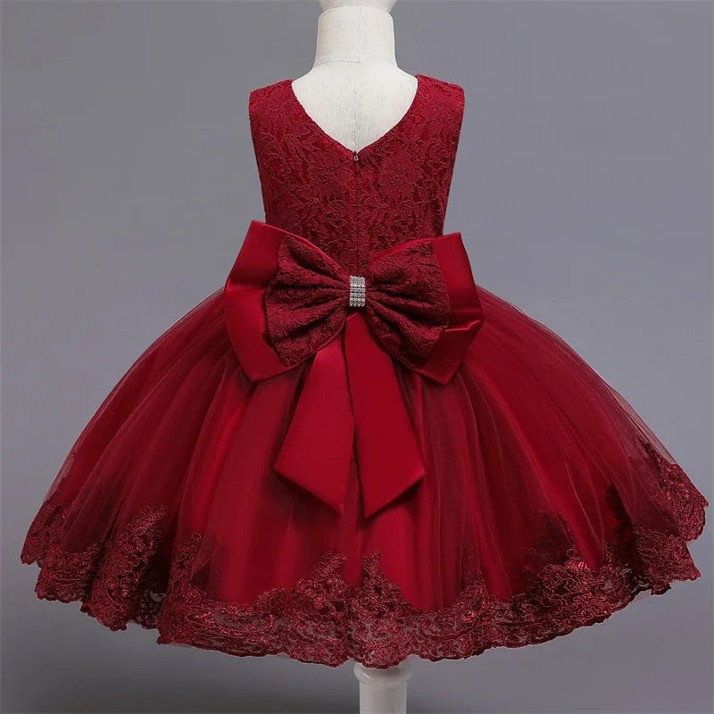 Baby Girl Lace Princess Dress