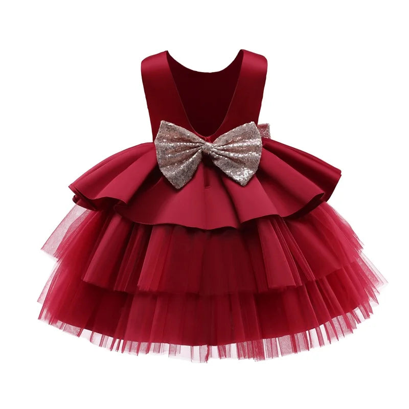 Baby Girl Lace Princess Dress